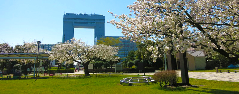 中公園　春は花見で盛り上がります。すぐ脇でバーベキューもできます。